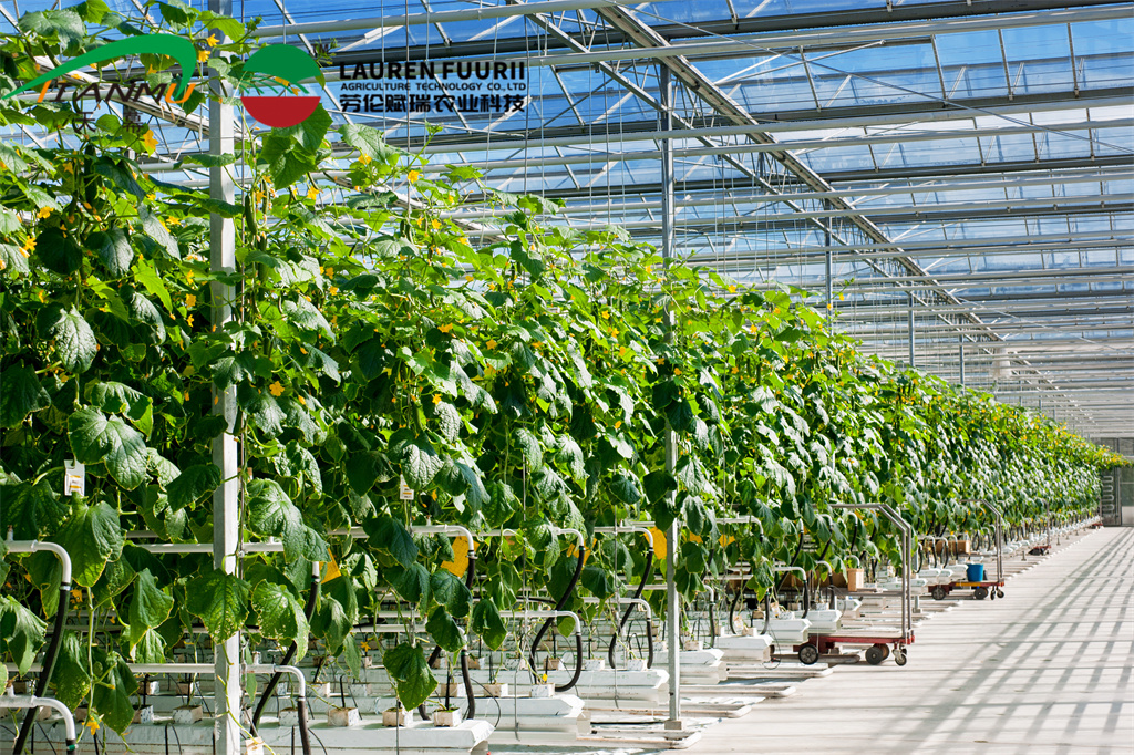 Greenhouse Inside Energy Saving Shading Screen