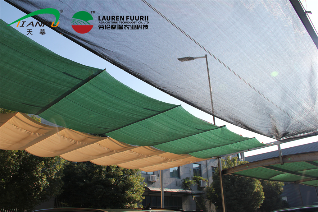 Wave Shade Sail