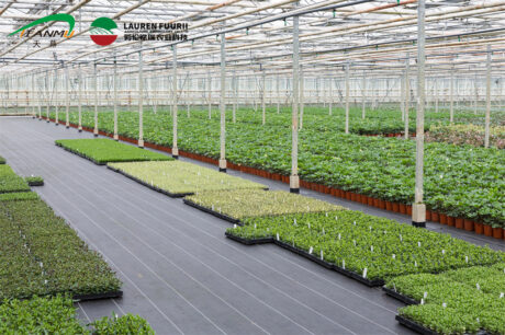 ground cover application